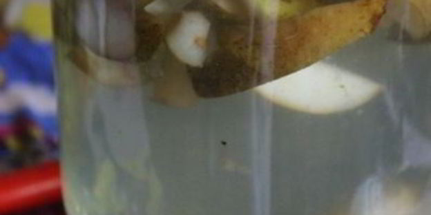 компот из груш и облепихи на зиму