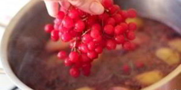 компот из калины