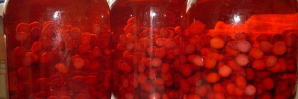 Компот из кизила на зиму