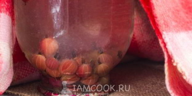 компот из красного и зеленого крыжовника на зиму