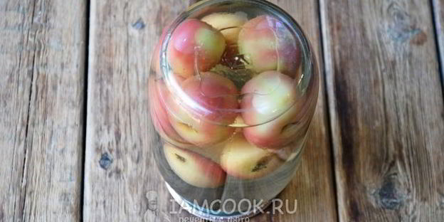 компот из ранеток на зиму без стерилизации