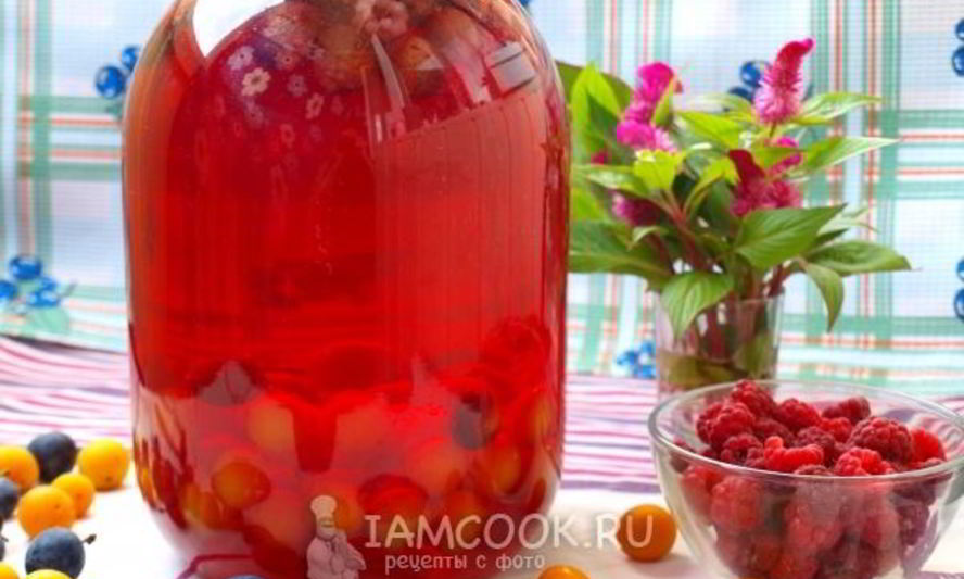 Рецепт компота из терна, алычи и малины на зиму