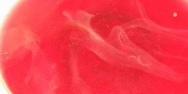 компот из вишни с косточками на зиму