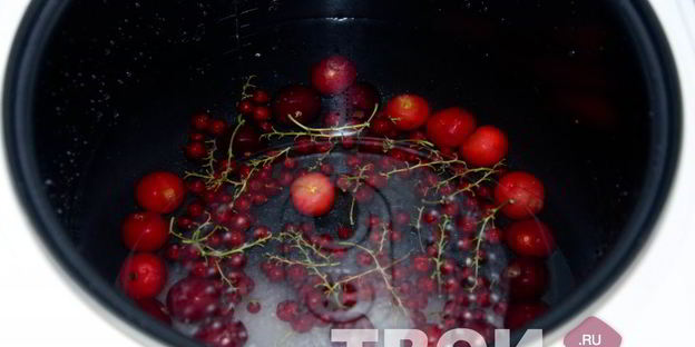 компот из вишни