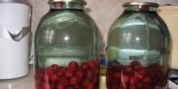 вишневый компот на зиму