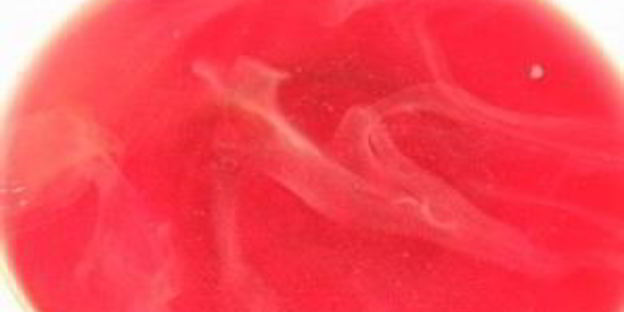 вишневый компот на зиму