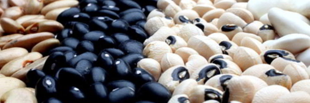 Консервированная фасоль