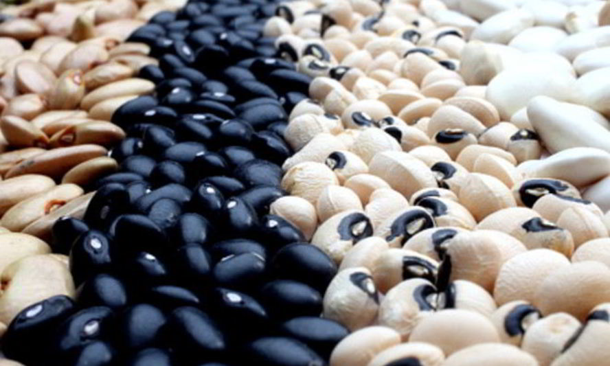 Рецепт консервированной фасоли