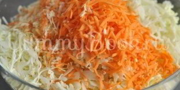 квашеная капуста