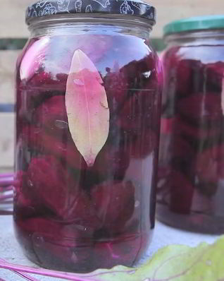 Квашеная свекла