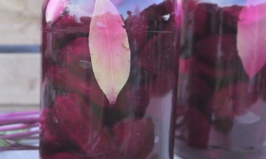 Рецепт квашеной свеклы