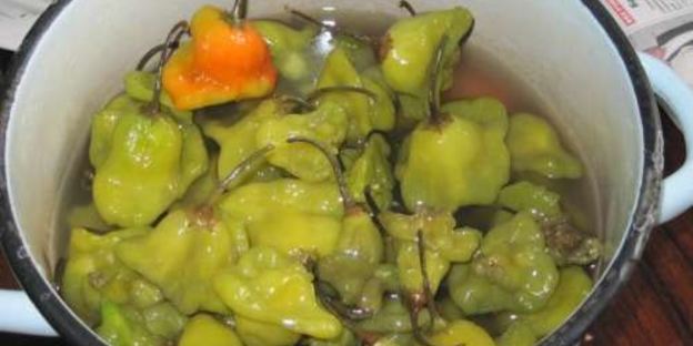 квашеный острый перец цицак