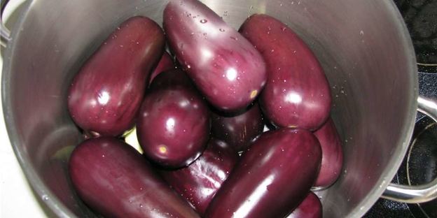 квашеные баклажаны