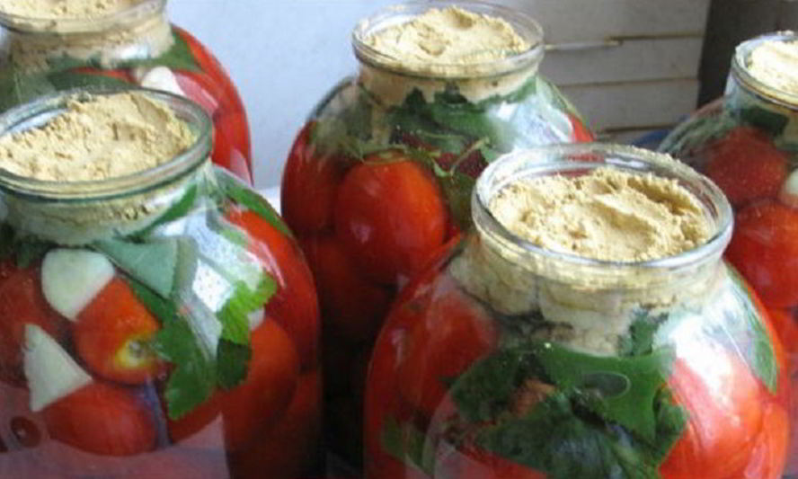 Рецепт квашеных помидоров