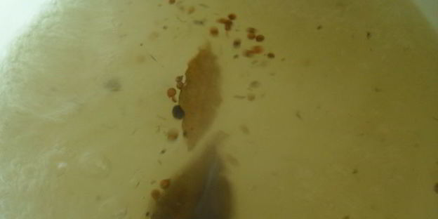 быстро маринованная капуста розовый закат