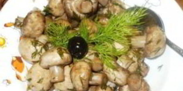 быстрые маринованные грибы