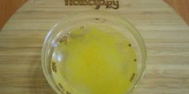 лук, маринованный к шашлыку