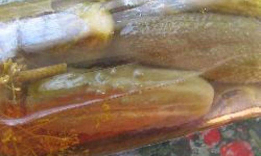 Рецепт маминых маринованных огурцов