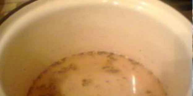 маринованная черемша на зиму