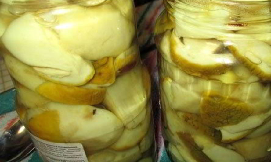 Рецепт маринованных белых грибов на зиму