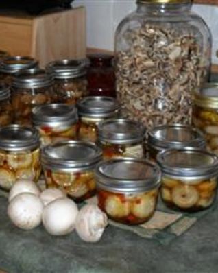 Маринованные грибы