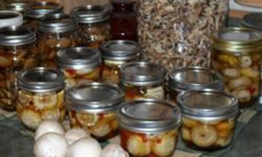 Рецепт маринованных грибов