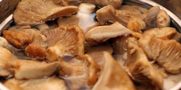 маринованные грузди