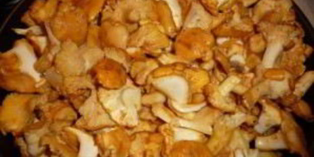 маринованные лисички с яблочным уксусом