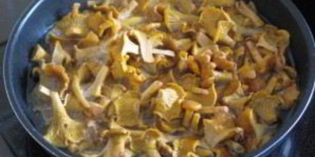 маринованные лисички с яблочным уксусом