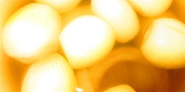 маринованные луковки