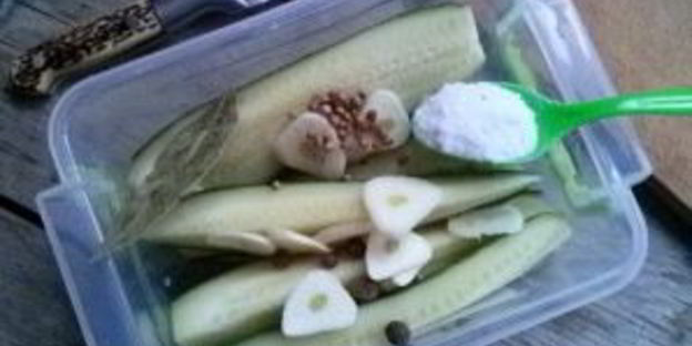 маринованные огурцы без закатки