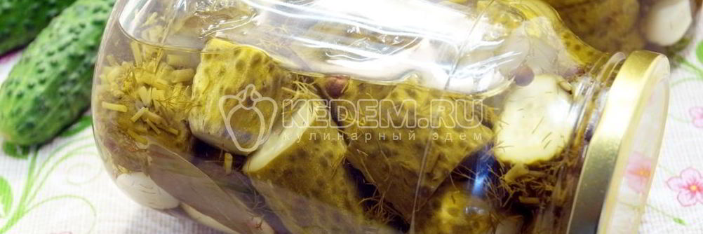 Маринованные огурцы с укропом Закусон