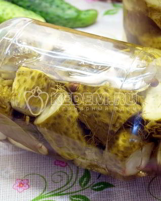 Маринованные огурцы с укропом Закусон