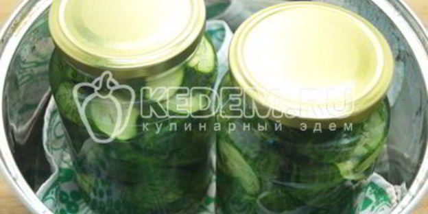 маринованные огурцы с укропом закусон