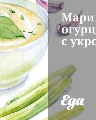 Маринованные огурцы с укропом