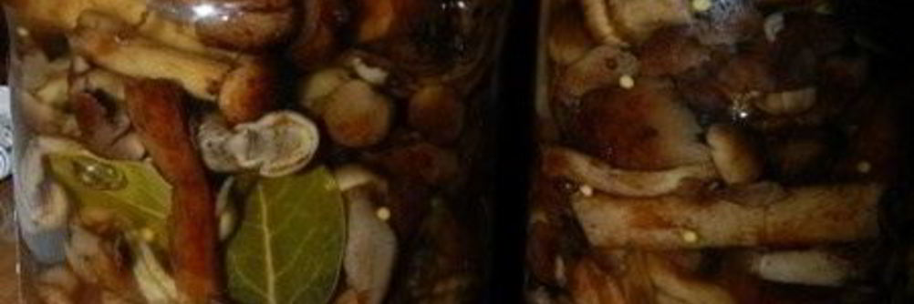 Маринованные опята с горчицей