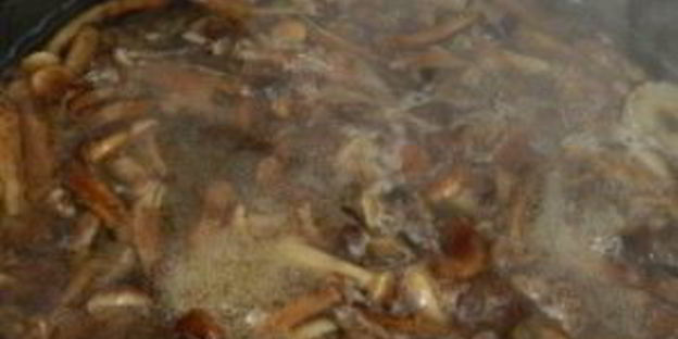 маринованные опята с горчицей