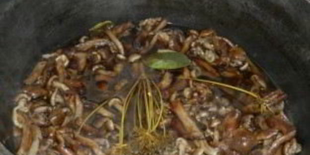 маринованные опята с горчицей