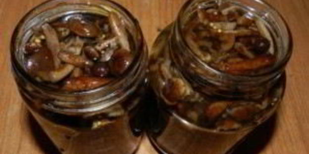 маринованные опята с горчицей