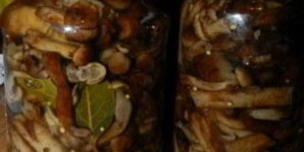 маринованные опята с горчицей