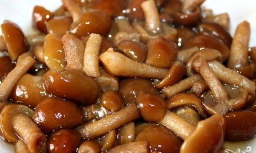 Рецепт маринованных опят в мультиварке