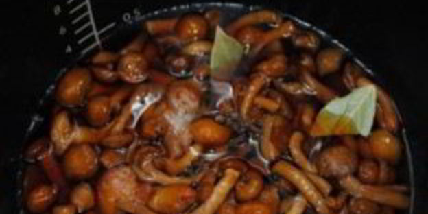 маринованные опята в мультиварке