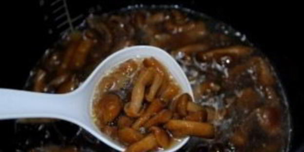 маринованные опята в мультиварке