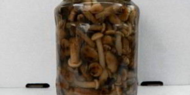 маринованные опята в мультиварке