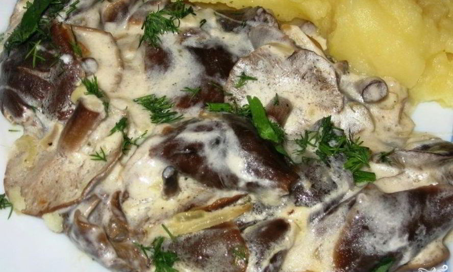 Рецепт маринованных опят в сметане