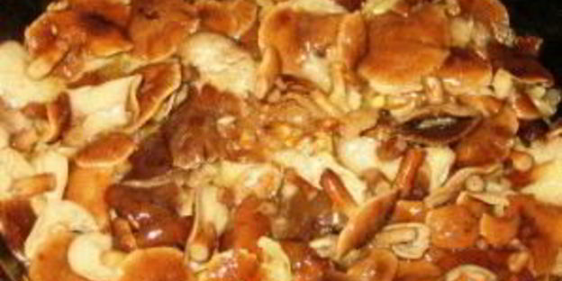 маринованные опята в сметане