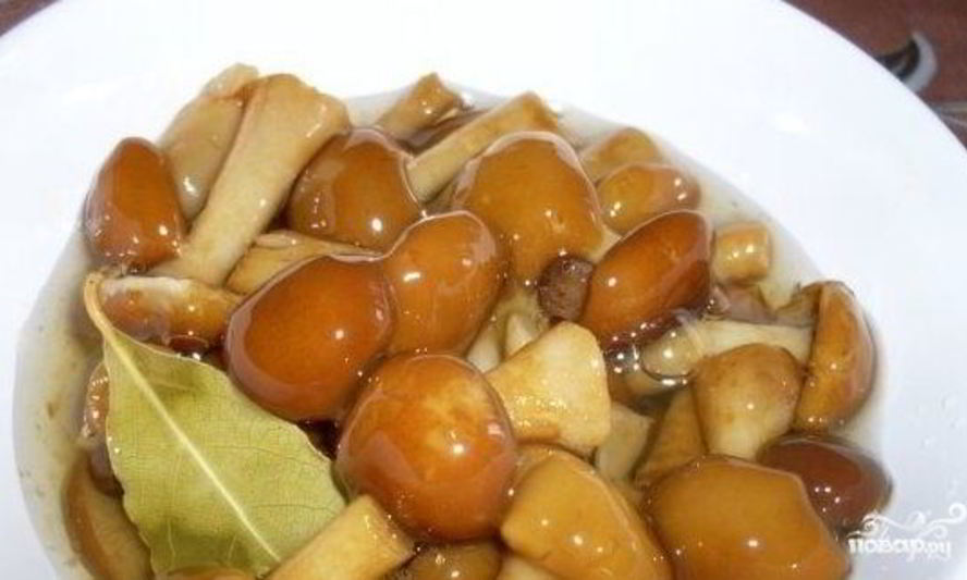 Рецепт маринованных опят в собственном соку