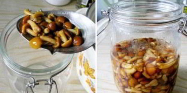 маринованные опята в собственном соку