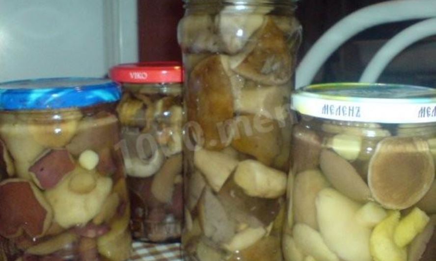 Рецепт маринованных подберезовиков на зиму