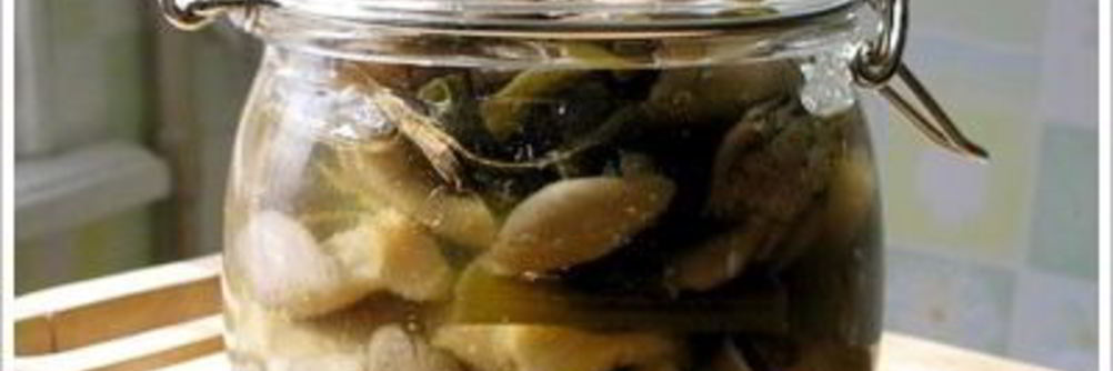 Маринованные вешенки в мультиварке